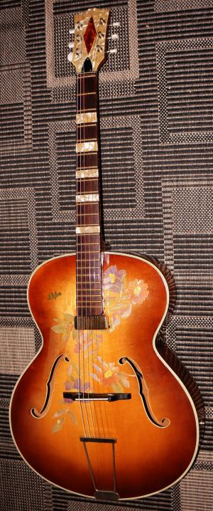 Hofner 455